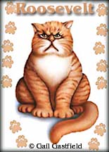 Roosevelt the Cat