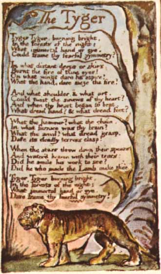 william blake the tyger. quot;The Tygerquot;, from Songs of